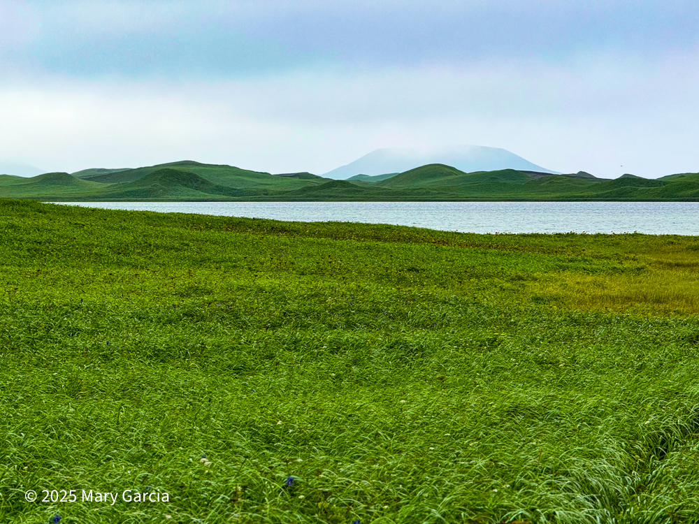 Foggy view of Polovina volcanic hill in the distance beyond Big Lake on St. Paul Island