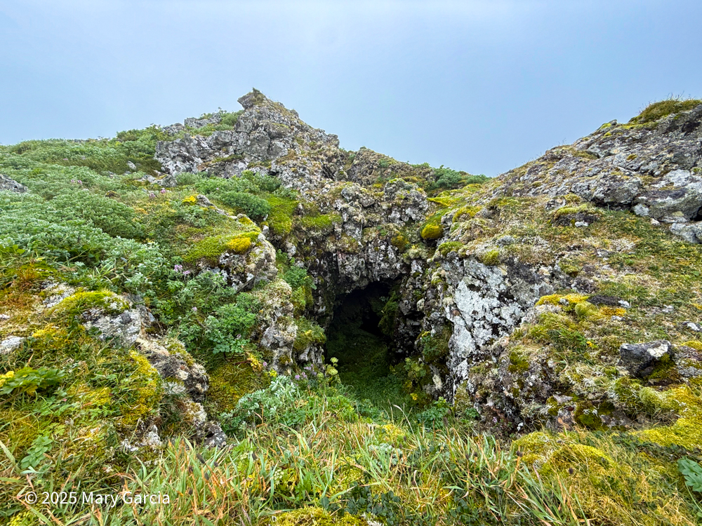 Moss-covered entrance to a lava tube surrounded by volcanic rock and tundra plants on St. Paul Island, Alaska.