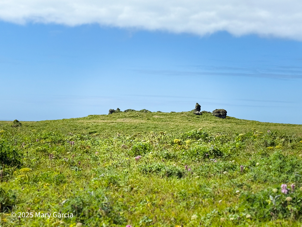 Rock formation on grassy tundra known as the Praying Lady, a volcanic tephra structure on St. Paul Island.