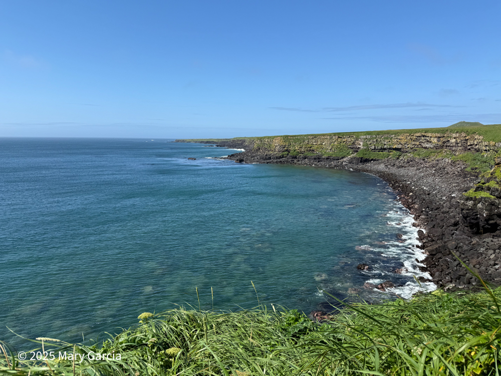 Expansive view of blue ocean with rocky cliffs and green tundra slopes, St. Paul Island, Alaska.
