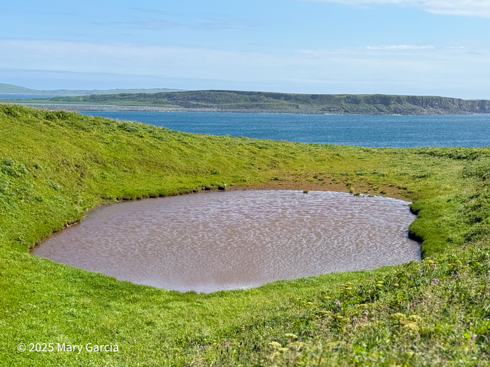 Small muddy pond in a grassy depression with the Bering Sea, Zapadni Cliffs, and Antone Lake visible in the distance, St. Paul Island, Alaska.