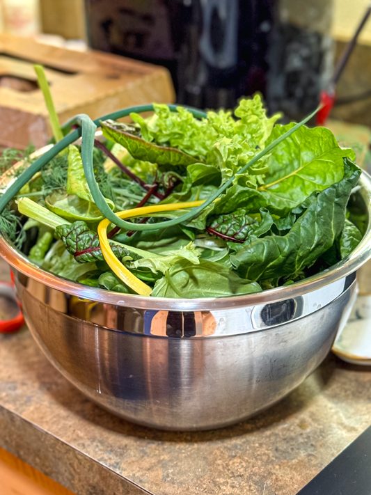 A stainless steel bowl filled with fresh lettuce, chard, and herbs harvested from an indoor Gardyn hydroponic garden.