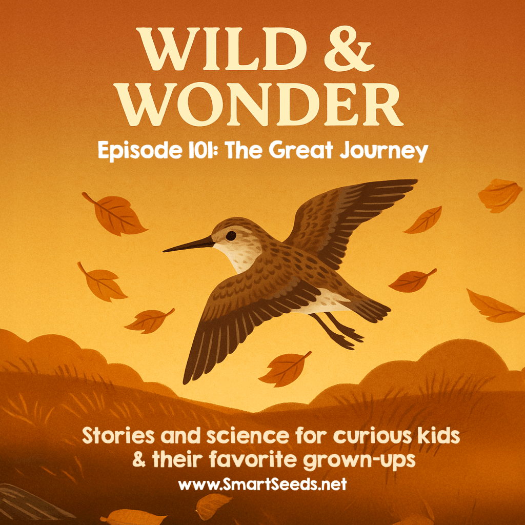 Cover art for the Wild & Wonder podcast episode “The Great Journey,” featuring a sandpiper in flight with autumn leaves swirling through a golden sky.