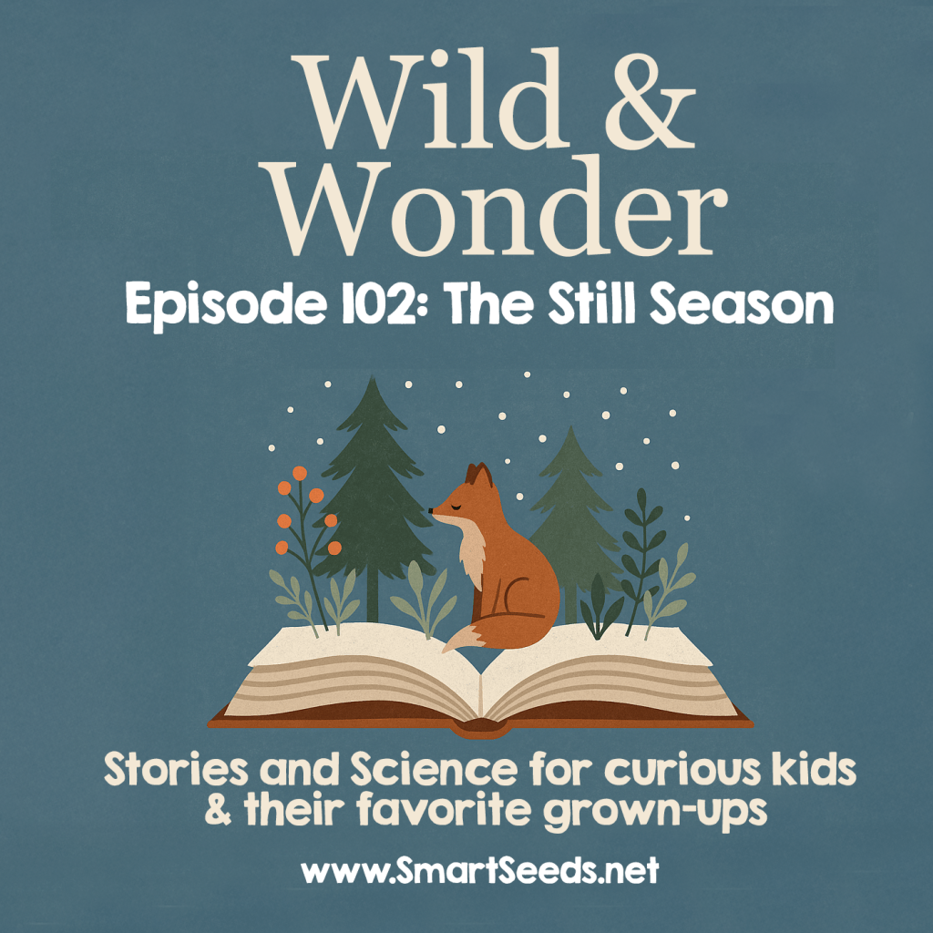 Cover art for Wild & Wonder: The Still Season, featuring a fox sitting on an open book surrounded by evergreen trees, berries, and falling snow.