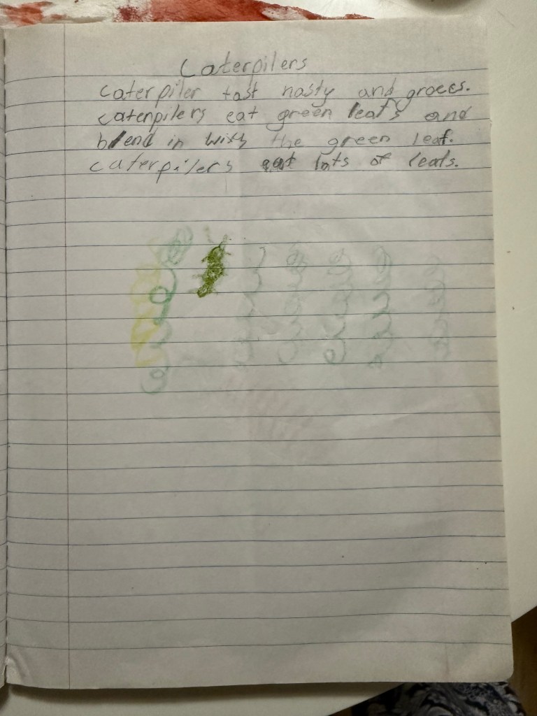 A child’s handwritten journal page about caterpillars with a simple sketch and the note that “caterpillars taste yucky.”