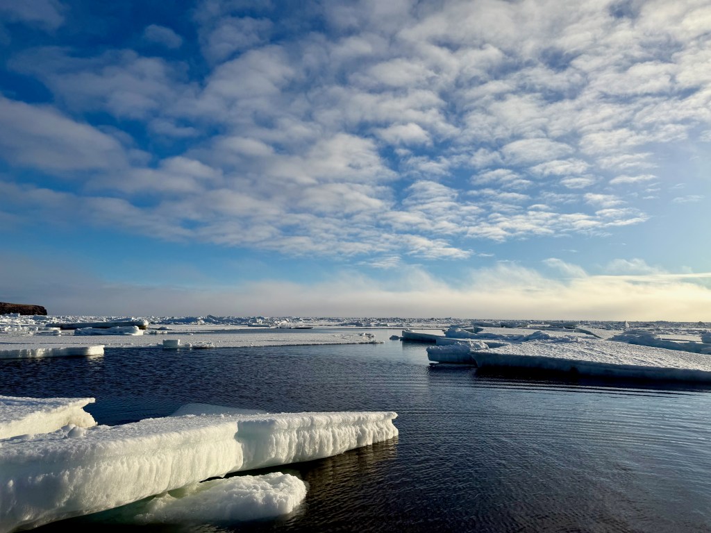 Melting sea ice along the shoreline at English Bay on St. Paul Island, Alaska in early spring