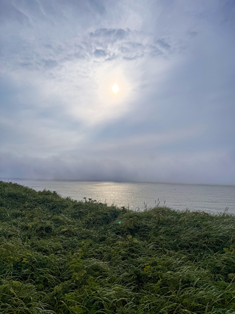 Sun shining through coastal fog over the Bering Sea on St. Paul Island, Alaska.