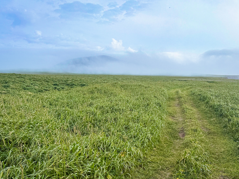 Green tundra trail leading toward a hill partially hidden by fog on St. Paul Island, Alaska.