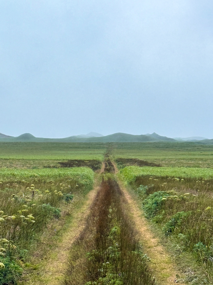 Two-track road crossing the green tundra toward volcanic hills on St. Paul Island, Alaska.